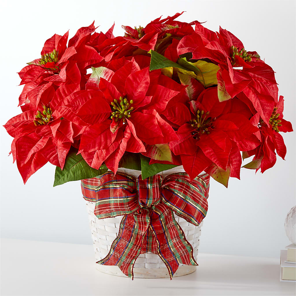 Happiest Holidays Poinsettia – Bittner-long Floral And Greenhouse, Somerset PA