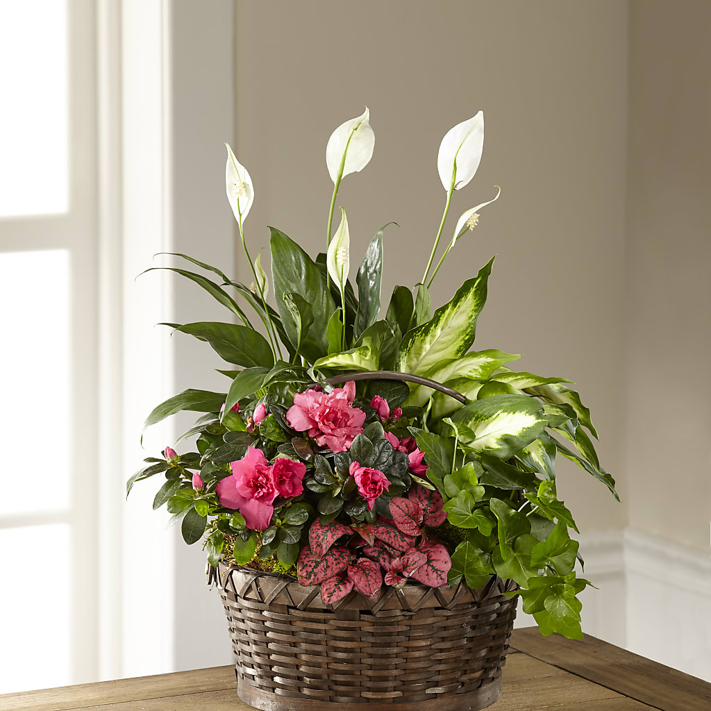 Dream in Pink Dishgarden – Bittner-long Floral And Greenhouse, Somerset PA