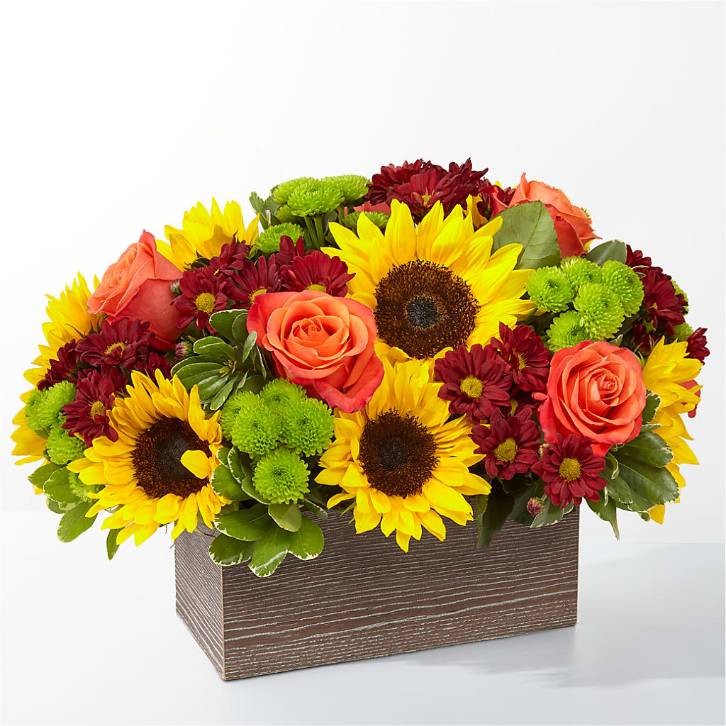 Happy Harvest Garden – Bittner-long Floral And Greenhouse, Somerset PA