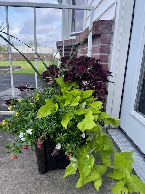 Patio Planter – Bittner-long Floral And Greenhouse, Somerset PA