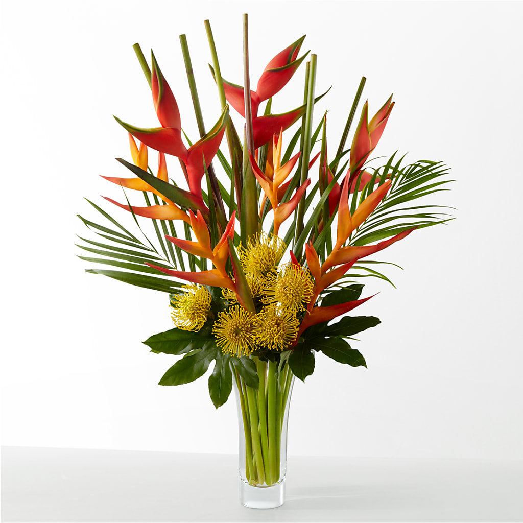The Drama – Bittner-long Floral And Greenhouse, Somerset PA