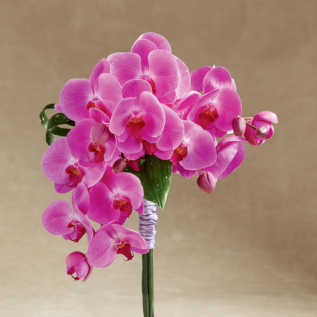 Glorious Bouquet – Bittner-long Floral And Greenhouse, Somerset PA