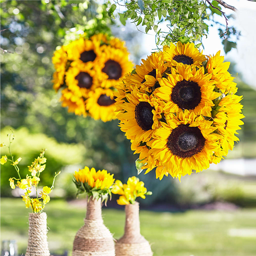 Sublime Garden Hanging Arrangement – Bittner-long Floral And Greenhouse, Somerset PA