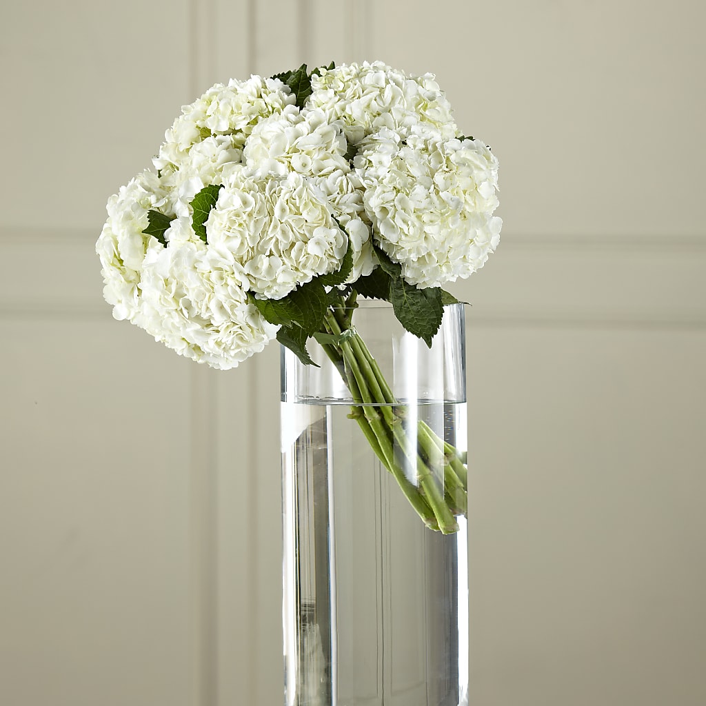White Hydrangea Hand-Tied Bouquet – Bittner-long Floral And Greenhouse, Somerset PA
