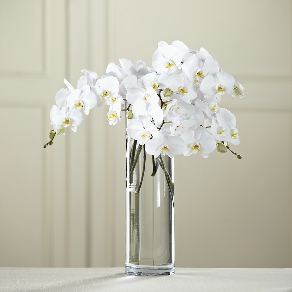 White Phalaenopsis Bouquet – Bittner-long Floral And Greenhouse, Somerset PA