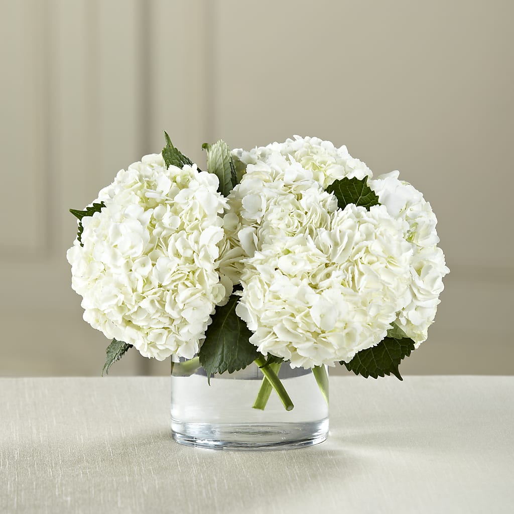 White Hydrangea Bouquet – Bittner-long Floral And Greenhouse, Somerset PA