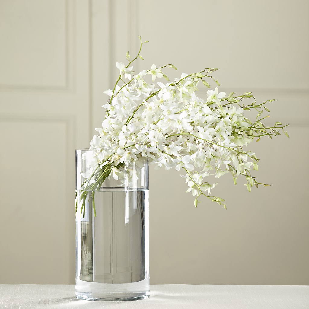 White Dendrobium Bouquet – Bittner-long Floral And Greenhouse, Somerset PA