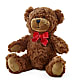 Adorable Plush Bear –  Bittner-long Floral And Greenhouse, Somerset PA