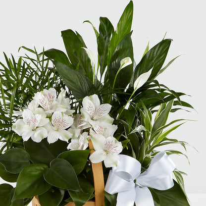 Peace & Serenity Dishgarden –  Bittner-long Floral And Greenhouse, Somerset PA