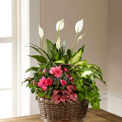 Dream in Pink Dishgarden –  Bittner-long Floral And Greenhouse, Somerset PA