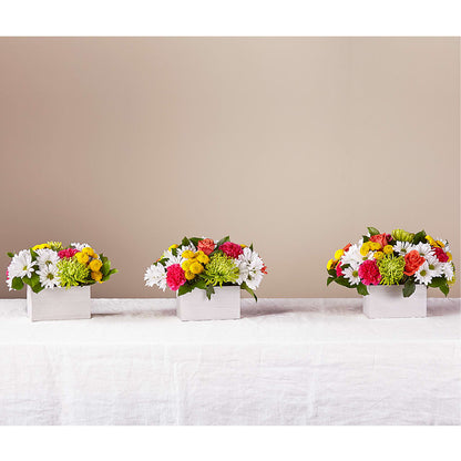 Sorbet Bouquet –  Bittner-long Floral And Greenhouse, Somerset PA