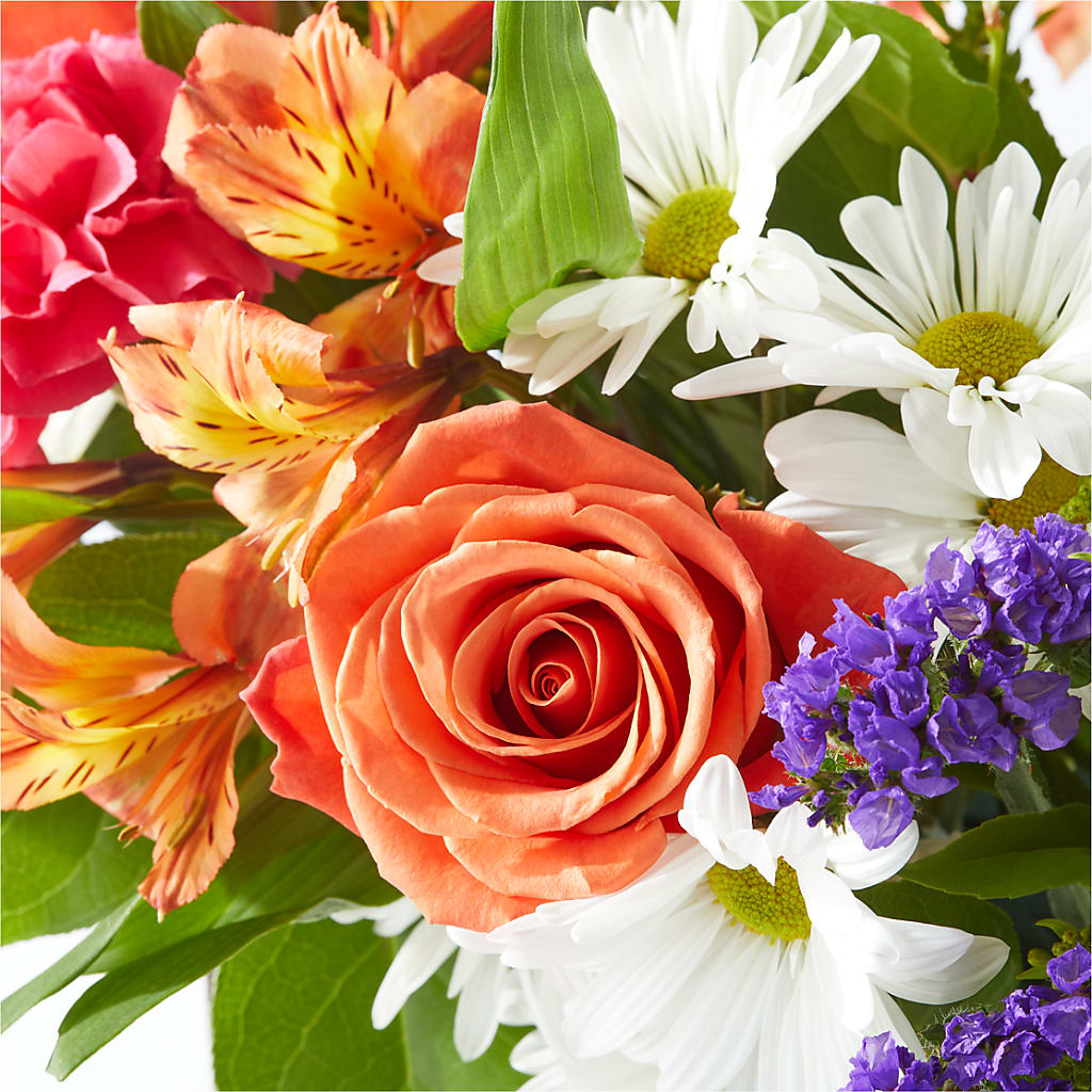 Oopsie Daisy Box Bouquet –  Bittner-long Floral And Greenhouse, Somerset PA