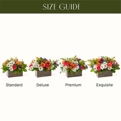 Oopsie Daisy Box Bouquet –  Bittner-long Floral And Greenhouse, Somerset PA