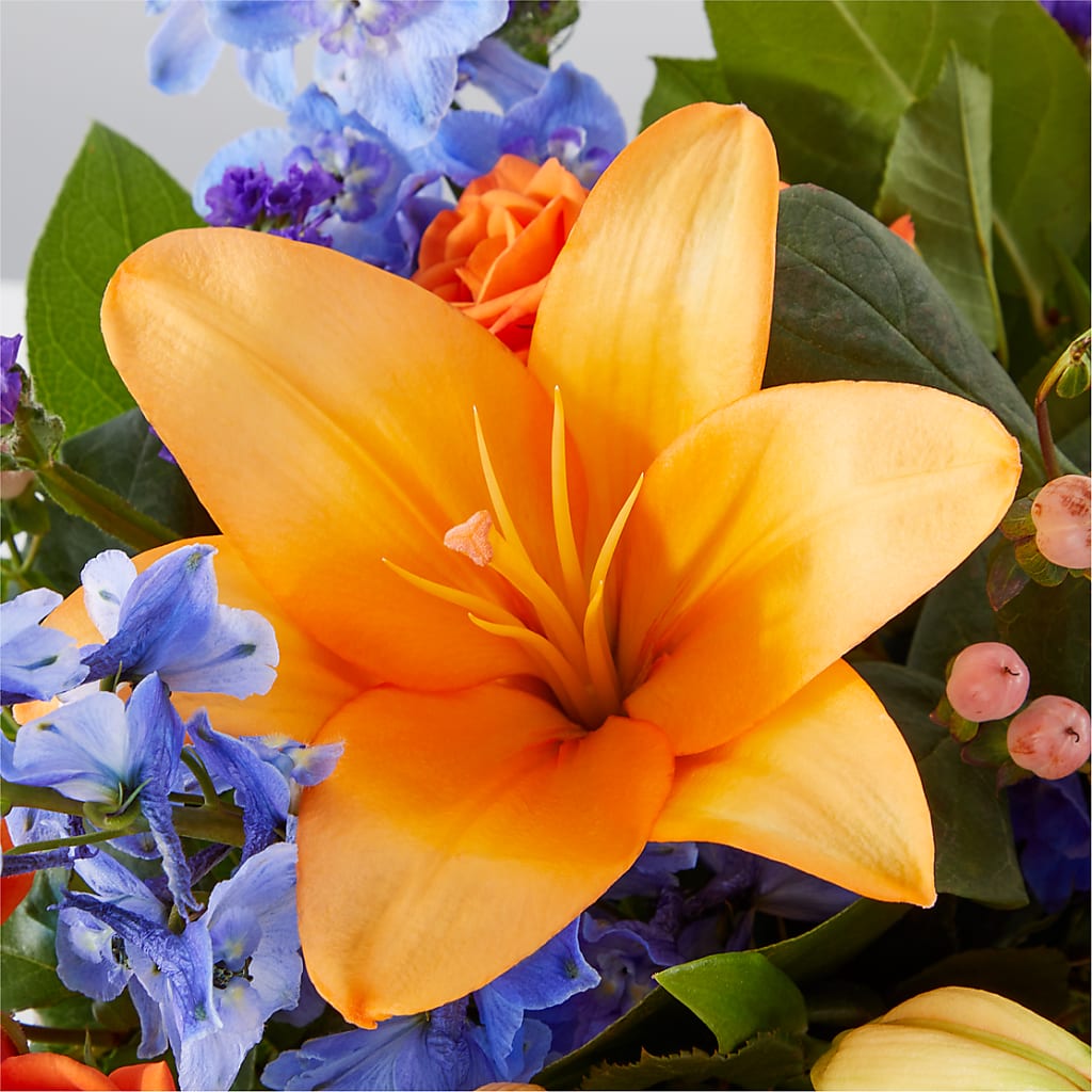 Radiant Citrus Box Bouquet –  Bittner-long Floral And Greenhouse, Somerset PA
