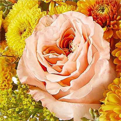 Peachy Pumpkin –  Bittner-long Floral And Greenhouse, Somerset PA