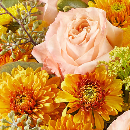 Peachy Pumpkin –  Bittner-long Floral And Greenhouse, Somerset PA