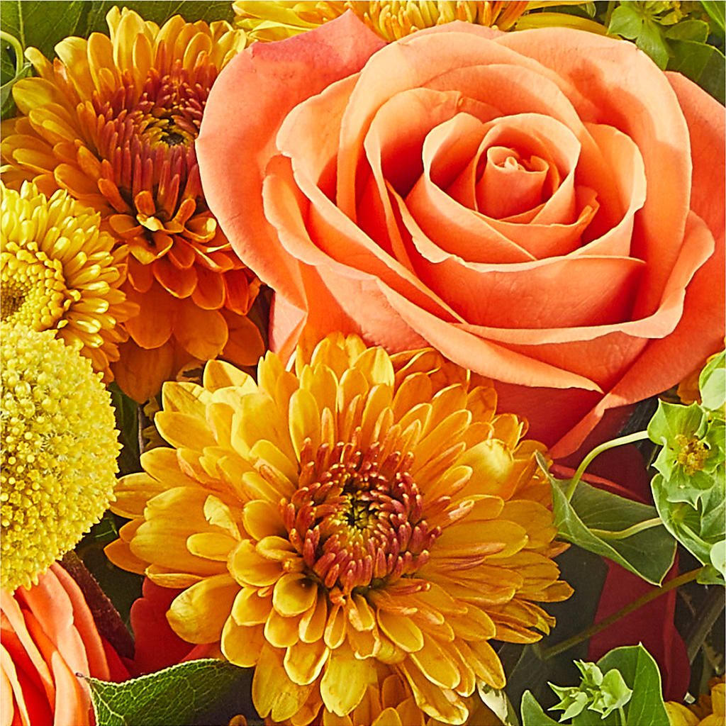 Gourdgeous Pumpkin –  Bittner-long Floral And Greenhouse, Somerset PA