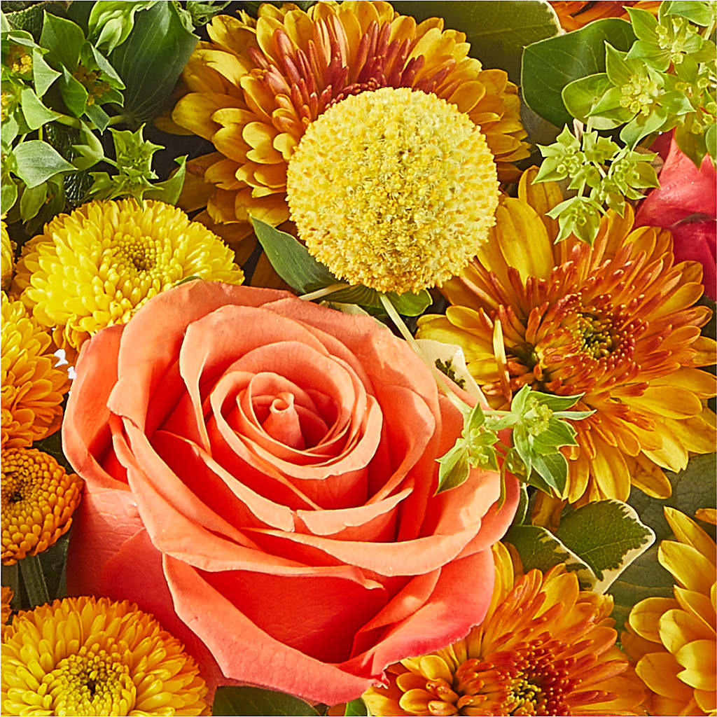 Gourdgeous Pumpkin –  Bittner-long Floral And Greenhouse, Somerset PA