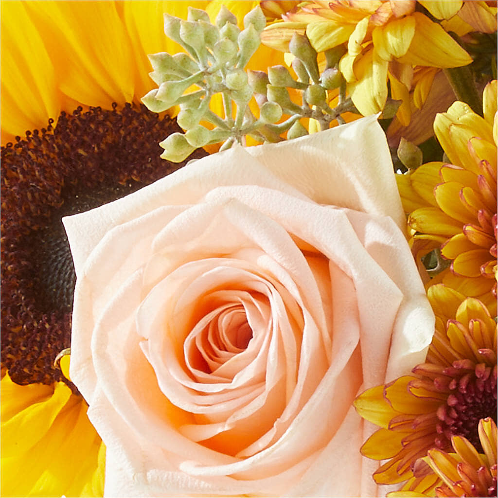 Pumpkin to Talk About Bouquet –  Bittner-long Floral And Greenhouse, Somerset PA