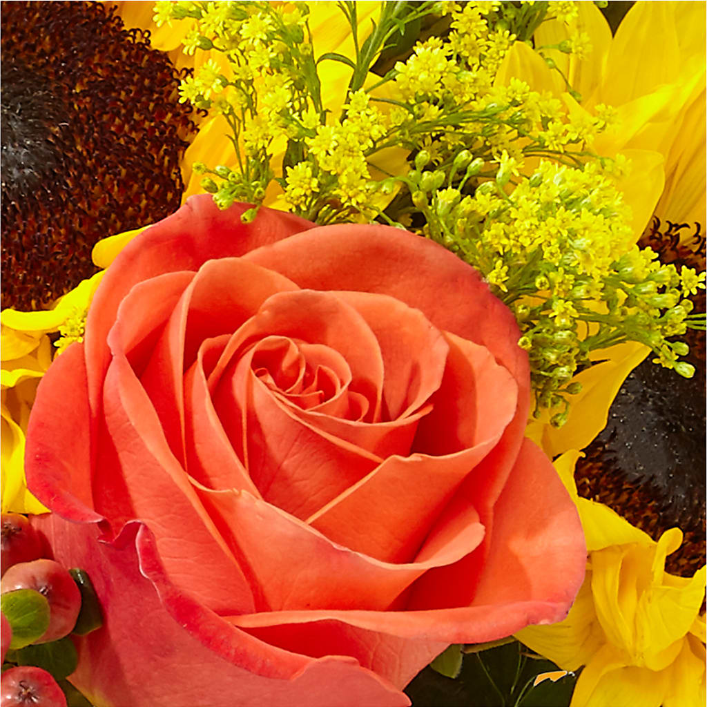 Pick of the Patch Pumpkin Bouquet –  Bittner-long Floral And Greenhouse, Somerset PA
