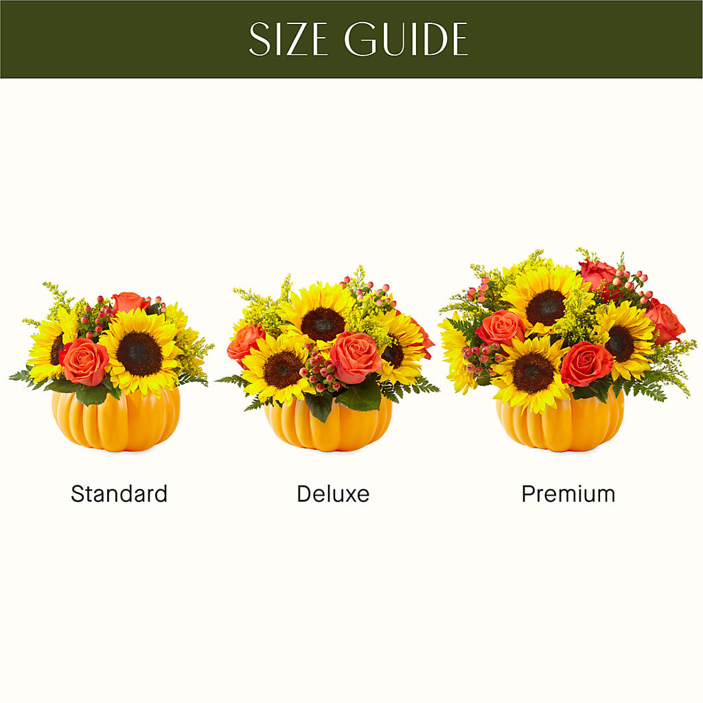 Pick of the Patch Pumpkin Bouquet –  Bittner-long Floral And Greenhouse, Somerset PA