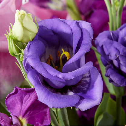 Twilight Glow Bouquet –  Bittner-long Floral And Greenhouse, Somerset PA