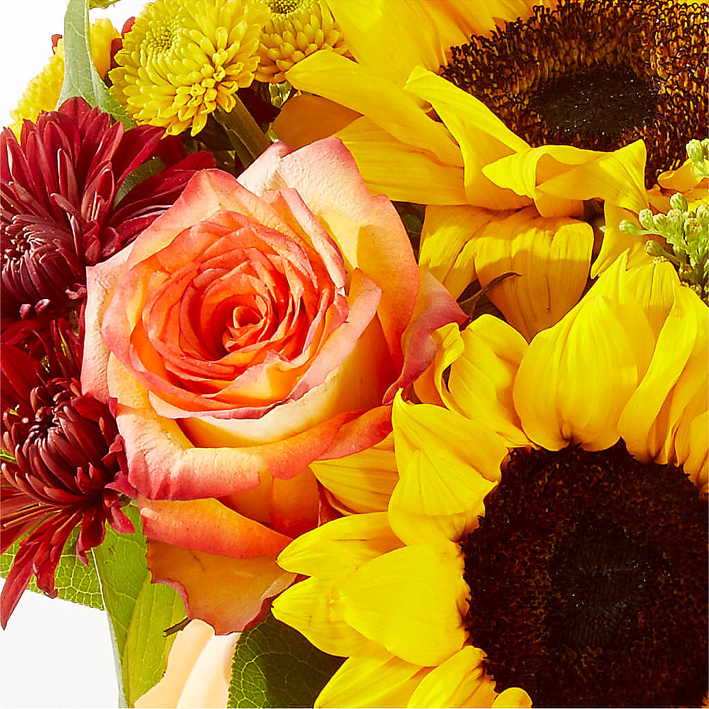 Golden Gourd Pumpkin Bouquet –  Bittner-long Floral And Greenhouse, Somerset PA
