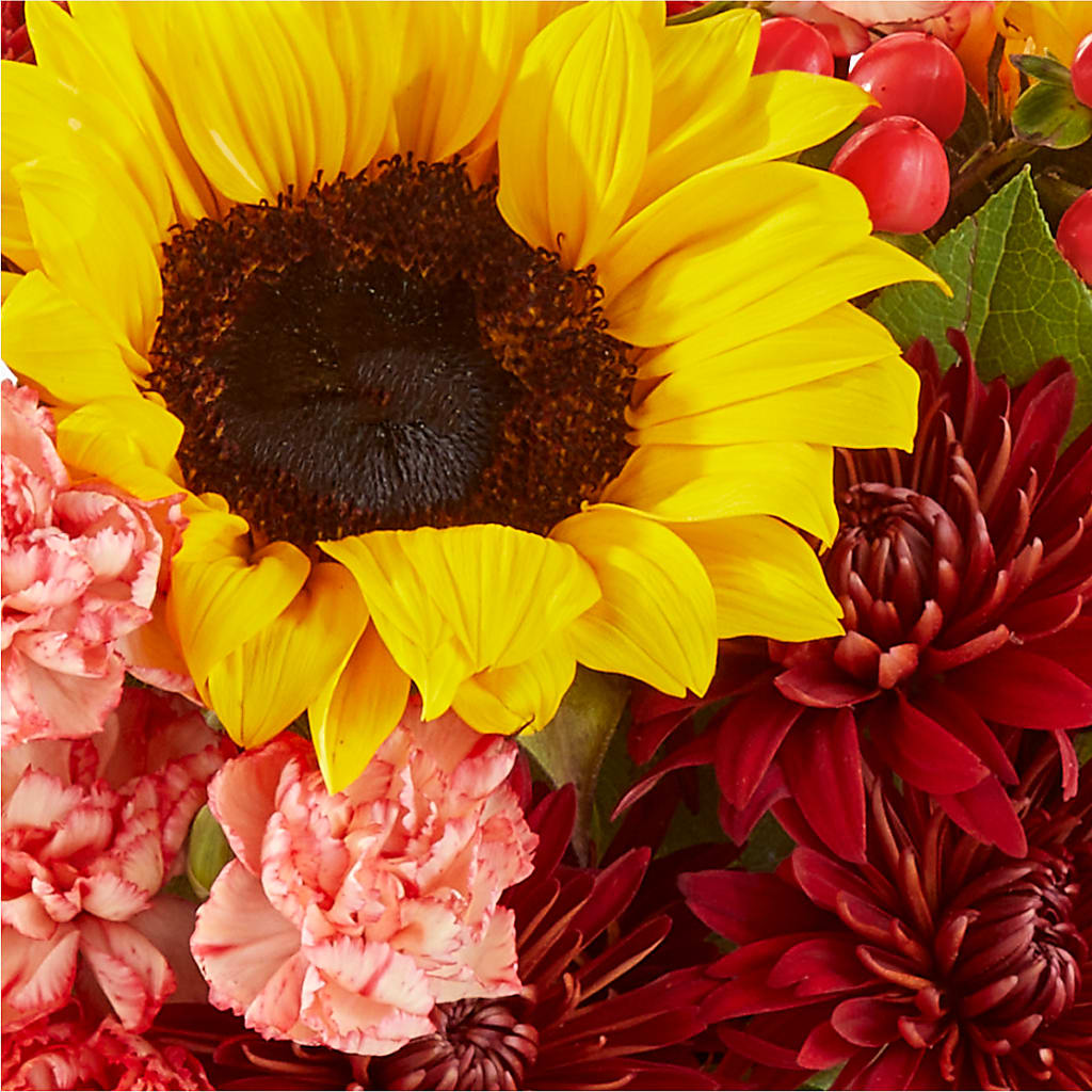 Fresh Cider Bouquet –  Bittner-long Floral And Greenhouse, Somerset PA