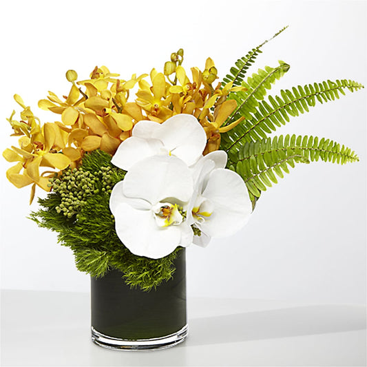 The Tropics –  Bittner-long Floral And Greenhouse, Somerset PA