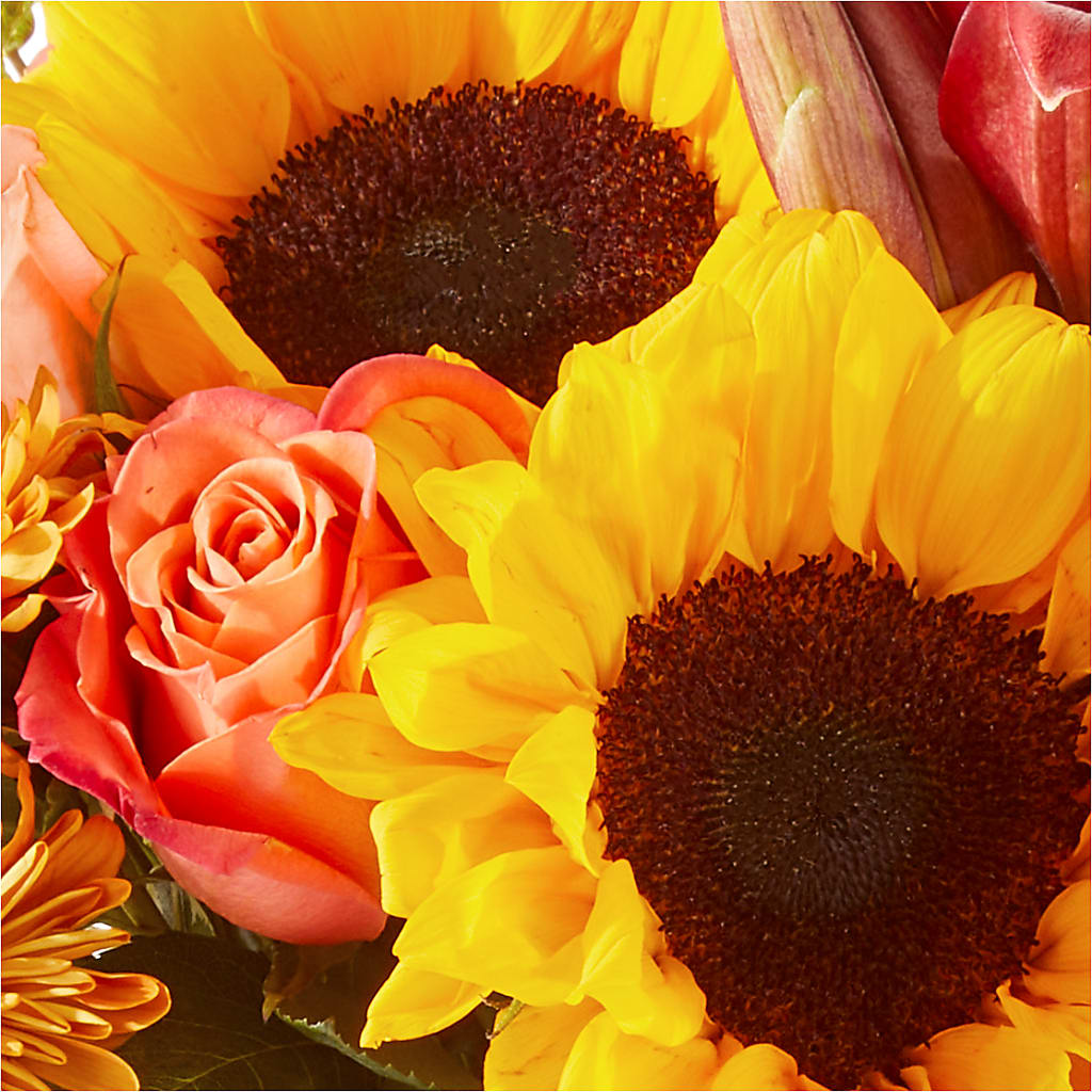 Acorn Lane Bouquet –  Bittner-long Floral And Greenhouse, Somerset PA