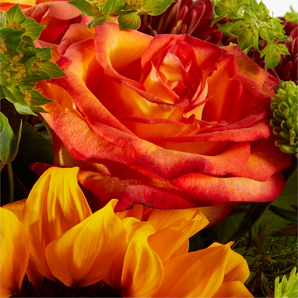 Harvest Festival Bouquet –  Bittner-long Floral And Greenhouse, Somerset PA