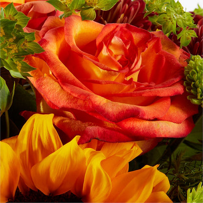 Harvest Festival Bouquet –  Bittner-long Floral And Greenhouse, Somerset PA