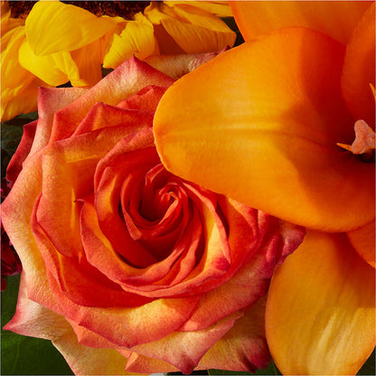 Grateful Centerpiece –  Bittner-long Floral And Greenhouse, Somerset PA