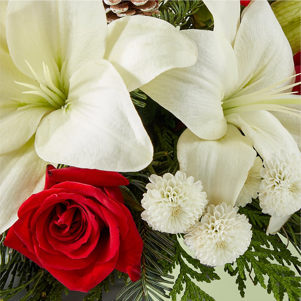 Seasonal Festivities Centerpiece –  Bittner-long Floral And Greenhouse, Somerset PA