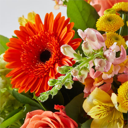 Autumn Sunshine Bouquet –  Bittner-long Floral And Greenhouse, Somerset PA