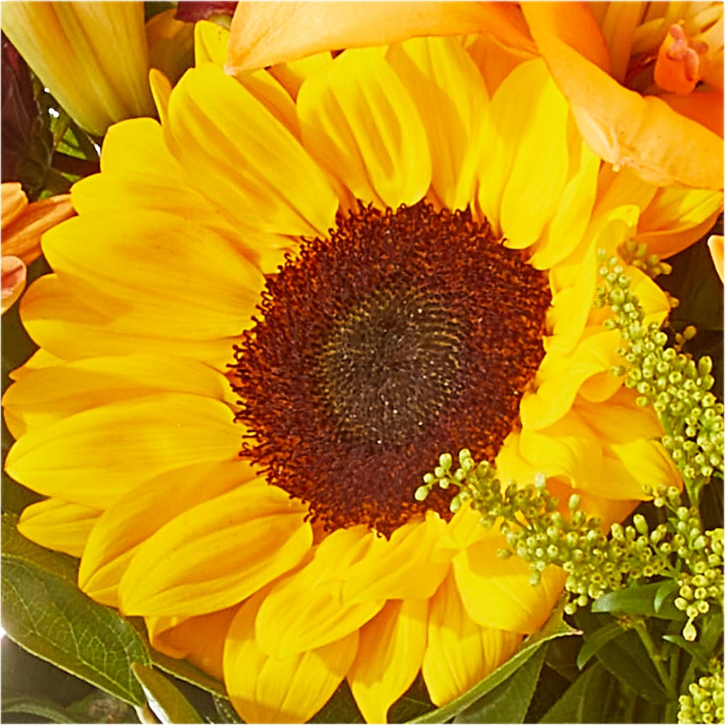 Seasons Change Bouquet –  Bittner-long Floral And Greenhouse, Somerset PA