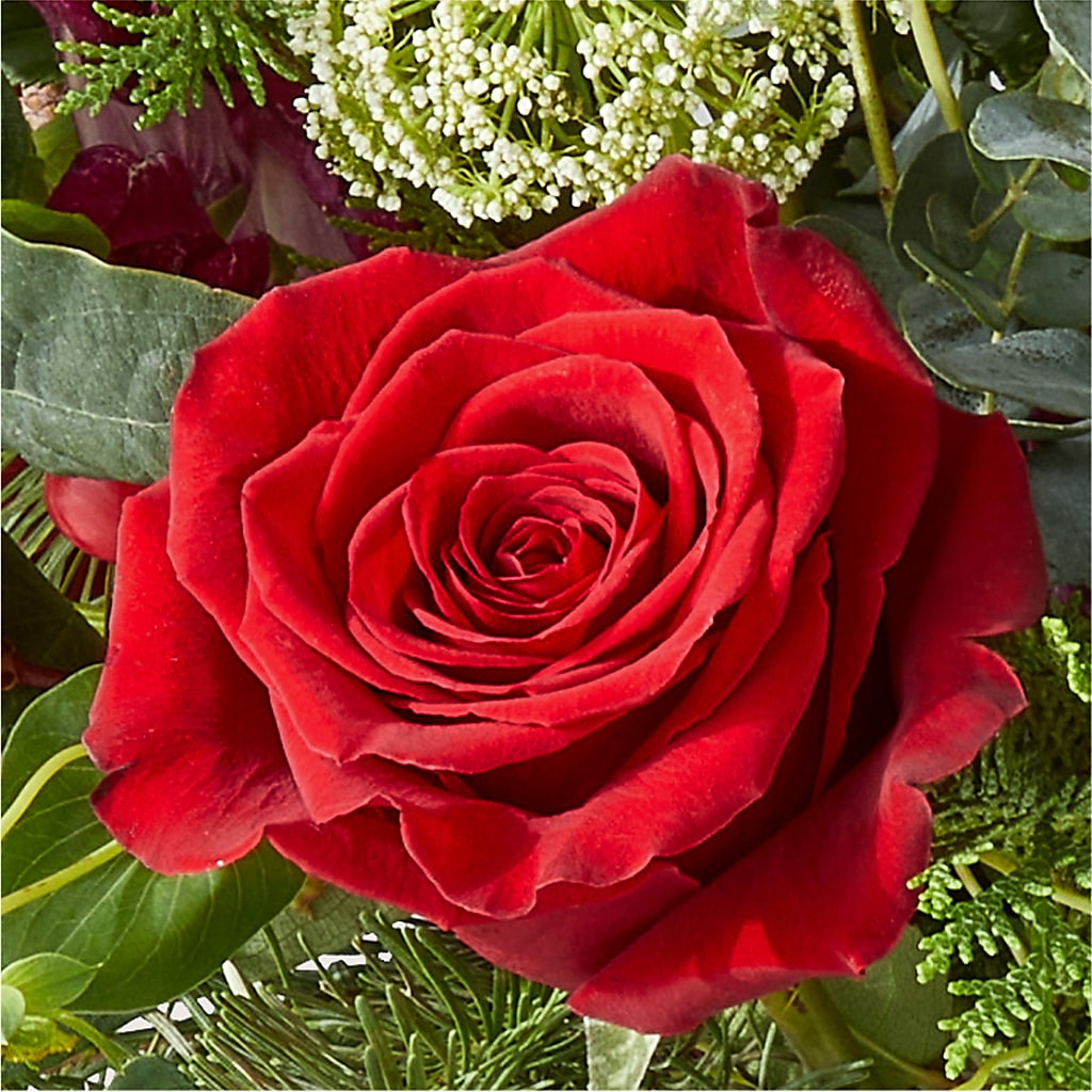Cranberry Fizz Bouquet –  Bittner-long Floral And Greenhouse, Somerset PA