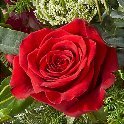 Cranberry Fizz Bouquet –  Bittner-long Floral And Greenhouse, Somerset PA