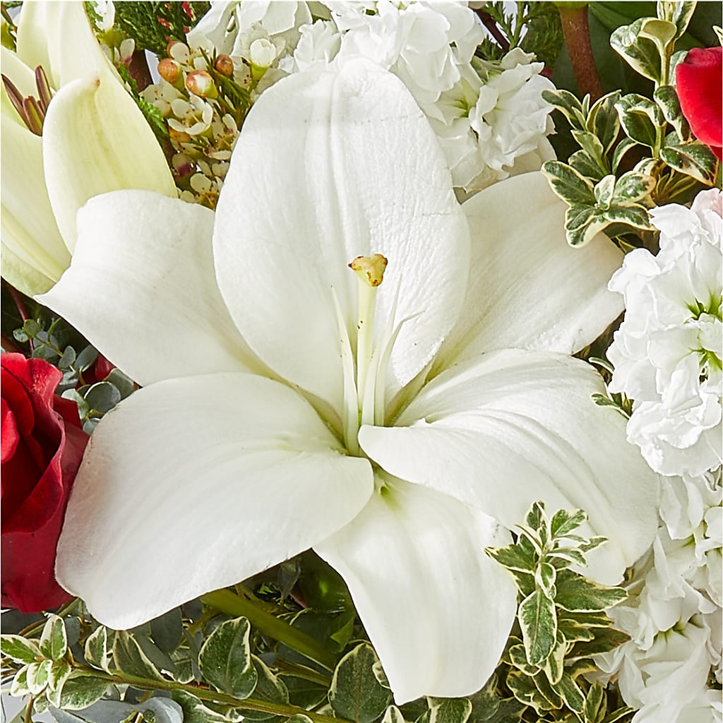 Twinkle Lights Bouquet –  Bittner-long Floral And Greenhouse, Somerset PA