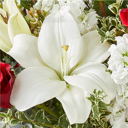 Twinkle Lights Bouquet –  Bittner-long Floral And Greenhouse, Somerset PA