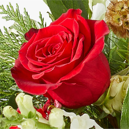 Deck the Halls Bouquet –  Bittner-long Floral And Greenhouse, Somerset PA