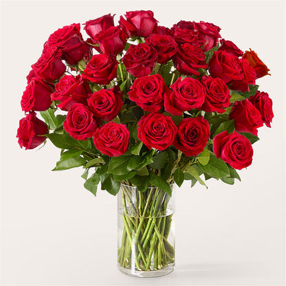 The One Red Rose Bouquet –  Bittner-long Floral And Greenhouse, Somerset PA