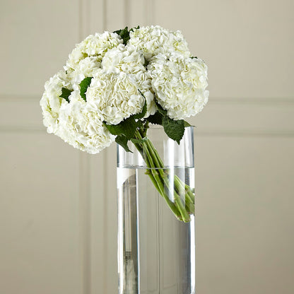 White Hydrangea Hand-Tied Bouquet –  Bittner-long Floral And Greenhouse, Somerset PA