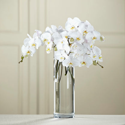 White Phalaenopsis Bouquet –  Bittner-long Floral And Greenhouse, Somerset PA