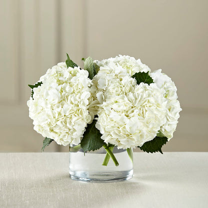 White Hydrangea Bouquet –  Bittner-long Floral And Greenhouse, Somerset PA
